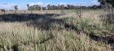 Terreno Agricolo in vendita a Tarquinia in localit san giorgio - 04, Foto 4