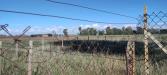 Terreno Agricolo in vendita a Tarquinia in localit san giorgio - 03, Foto 3
