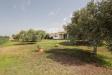 Villa in vendita con giardino a Tarquinia in localit il sorbo 0 - 02, Foto 2