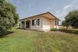Villa in vendita con giardino a Tarquinia in localit il sorbo 0 - 03, Foto 3