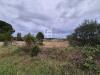 Terreno Agricolo in vendita a Tarquinia in localit san giorgio snc - 02, Foto 2