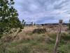 Terreno Agricolo in vendita a Tarquinia in localit san giorgio snc - 03, Foto 3