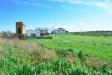 Terreno Agricolo in vendita a Tarquinia in localit pantano di sotto snc - 10, Foto 10