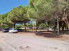 Terreno Agricolo in vendita a Tarquinia in viale etruria snc - 03, Foto 3