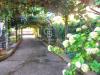 Villa in vendita con giardino a Vetralla in via mentana 10 - 02, Foto 2