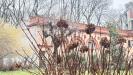 Casa indipendente in vendita con giardino a Mantova - 04, Foto 4