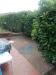 Appartamento bilocale in affitto con giardino a Pinerolo in via martiri 100 - 06, Foto 6