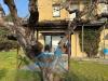 Appartamento monolocale in affitto con giardino a Pinerolo in via boselli 23 - 02, Foto 2