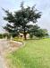 Casa indipendente in vendita con giardino a Empoli - marcignana - 02