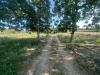 Terreno in vendita classe A4 a Carinaro - 02