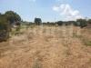 Villa in vendita a Noto - 04, 4.jpeg