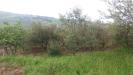 Terreno Agricolo in vendita a Guardialfiera - 03, Foto 3
