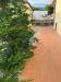 Casa indipendente in vendita con giardino a Massa - marina di - 04