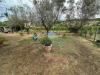 Casa indipendente in vendita con giardino a Castelnuovo Magra - 05