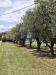 Villa in vendita con giardino a Sarzana - san lazzaro - 02
