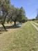 Villa in vendita con giardino a Sarzana - san lazzaro - 03