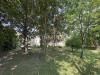 Casa indipendente in vendita con giardino a Sarzana in via bradiola - 05, 3 SARZANA CASA INDIPENDENTE CON GIARDINO.jpg