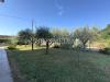 Appartamento in vendita con giardino a Sarzana in via falcinello 148 - 04, 25 appartamento sarzana la spezia.jpg
