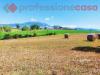 Terreno Agricolo in vendita a Pignataro Interamna - 04, 4.jpg