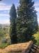 Rustico in vendita con giardino a Montopoli in Val d'Arno - marti - 03