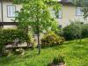 Casa indipendente in vendita con giardino a Fucecchio - 04