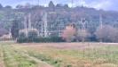 Terreno Agricolo in vendita a Santa Maria a Monte - ponticelli - 05