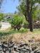 Terreno Agricolo in vendita a Messina in vico trave in giampilieri superiore 15 - 04, WhatsApp Image 2025-06-09 at 09.35.14 (7).jpeg