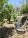 Terreno Agricolo in vendita a Messina in vico trave in giampilieri superiore 15 - 06, WhatsApp Image 2025-06-09 at 09.36.01 (1).jpeg