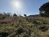 Terreno Agricolo in vendita a Messina in contrada campi - 06, WhatsApp Image 2026-10-09 at 10.03.50 (2)