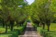 Villa in vendita con giardino a Cassano Spinola in strada provinciale 141 - 04, Foto 4