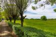 Villa in vendita con giardino a Cassano Spinola in strada provinciale 141 - 08, Foto 8