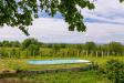 Villa in vendita con giardino a Cassano Spinola in strada provinciale 141 - 09, Foto 9