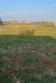Terreno Edificabile in vendita a Paese in padernello di paese tv - 03, Foto 3