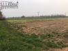 Terreno Agricolo in vendita a Paese in paese frazione tv - 07, Foto 7