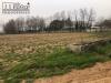 Terreno Agricolo in vendita a Paese in paese frazione tv - 08, Foto 8