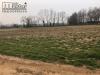 Terreno Agricolo in vendita a Paese in paese frazione tv - 09, Foto 9