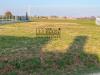 Terreno Edificabile in vendita a Paese in padernello di paese tv - 02, Foto 2