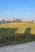 Terreno Edificabile in vendita a Paese in padernello di paese tv - 05, Foto 5
