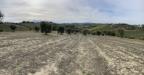 Terreno Agricolo in vendita a Monsampolo del Tronto in strada provinciale - 07, Foto 7