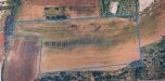 Terreno Agricolo in vendita a Castel di Lama in contrada cese - 03, Foto 3