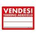 Terreno Agricolo in vendita a Castel di Lama in contrada cese - 06, Foto 6