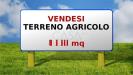 Terreno Agricolo in vendita a Castel di Lama in contrada cese - 07, Foto 7