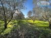 Terreno Agricolo in vendita a Ladispoli in via dell'acquedotto statua 21 - 08, Foto 8