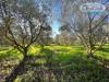 Terreno Agricolo in vendita a Ladispoli in via dell'acquedotto statua 21 - 10, Foto 10