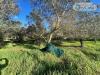 Terreno Agricolo in vendita a Ladispoli in via dell'acquedotto statua 21 - 04, Foto 4