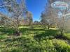Terreno Agricolo in vendita a Ladispoli in via dell'acquedotto statua 21 - 05, Foto 5