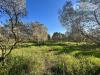 Terreno Agricolo in vendita a Ladispoli in via dell'acquedotto statua 21 - 07, Foto 7