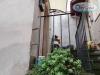 Appartamento bilocale in vendita a Terni in collestatte via dei cacciatori 33 - 04, Foto 4