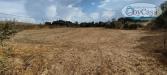 Terreno Agricolo in vendita a Bracciano in via castel giuliano 58 - 10, Foto 10