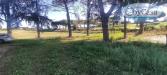 Terreno Agricolo in vendita a Bracciano in via castel giuliano 58 - 03, Foto 3